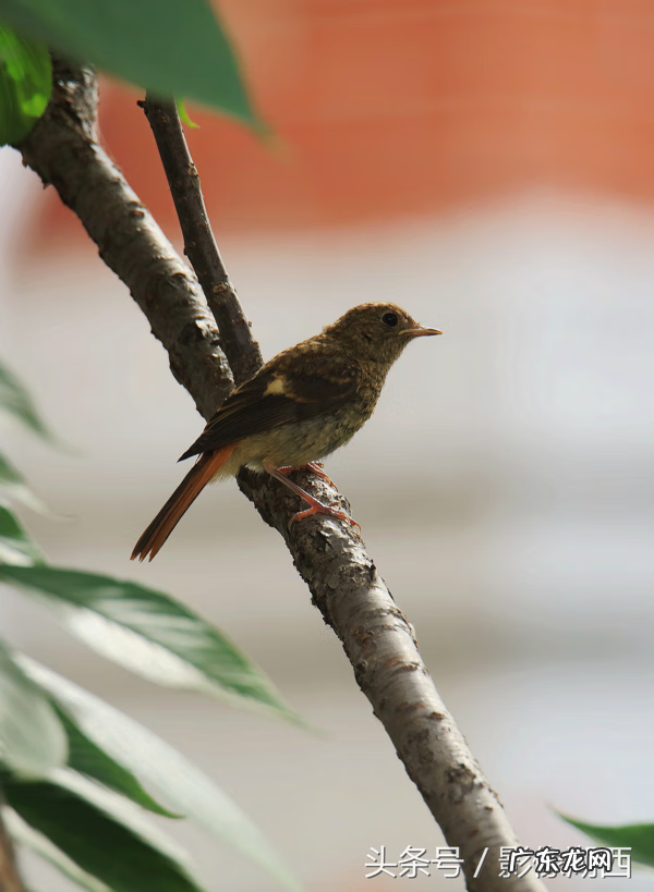单县舜师名园 单县舜和雅苑哪个街道