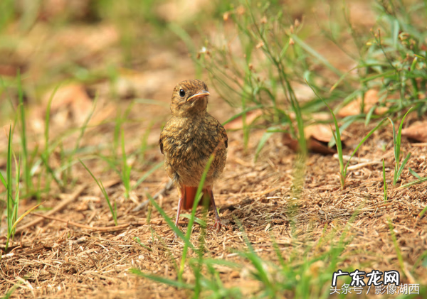 单县舜师名园 单县舜和雅苑哪个街道