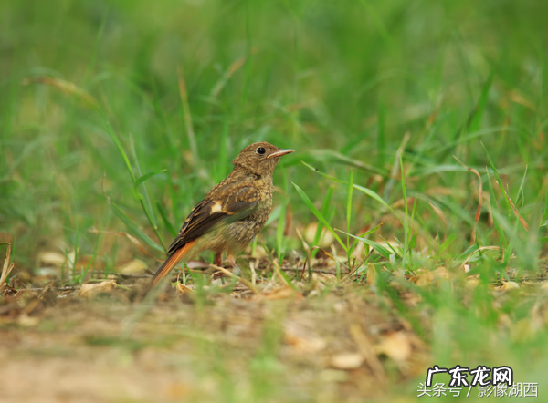 单县舜师名园 单县舜和雅苑哪个街道