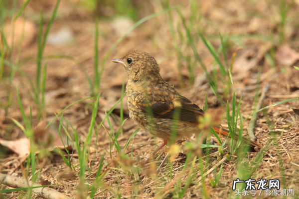 单县舜师名园 单县舜和雅苑哪个街道