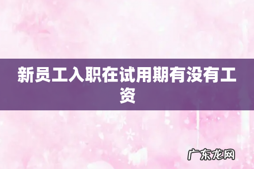 新员工入职在试用期有没有工资