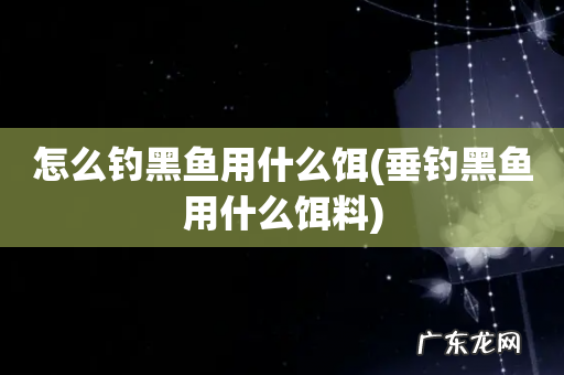 垂钓黑鱼用什么饵料 怎么钓黑鱼用什么饵