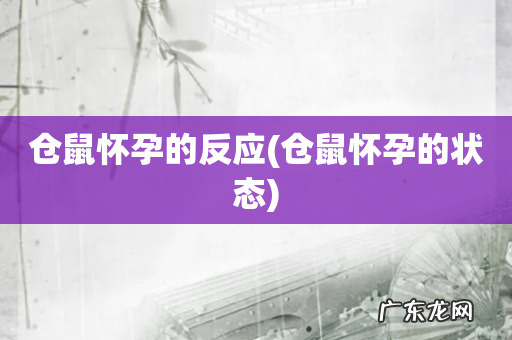 仓鼠怀孕的状态 仓鼠怀孕的反应