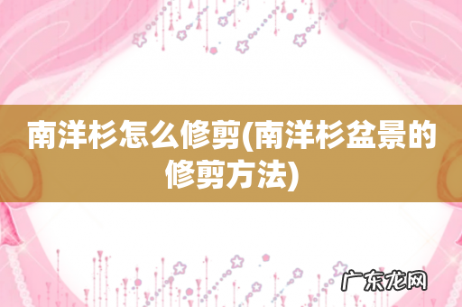 南洋杉盆景的修剪方法 南洋杉怎么修剪