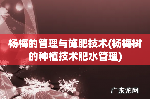 杨梅树的种植技术肥水管理 杨梅的管理与施肥技术