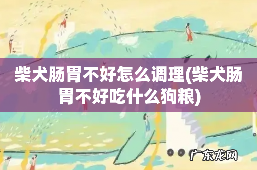 柴犬肠胃不好吃什么狗粮 柴犬肠胃不好怎么调理