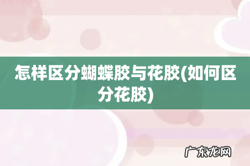 如何区分花胶 怎样区分蝴蝶胶与花胶