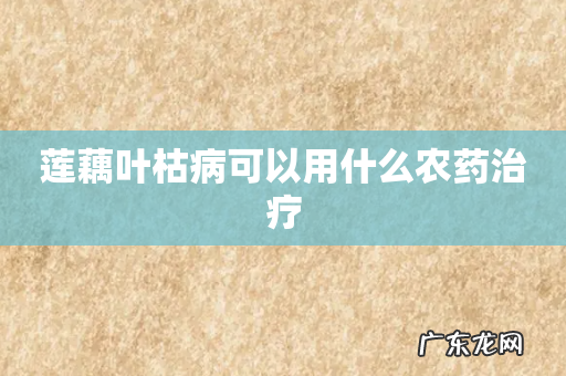莲藕叶枯病可以用什么农药治疗