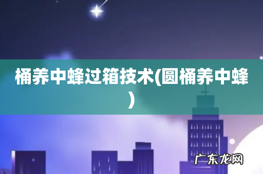 圆桶养中蜂 桶养中蜂过箱技术