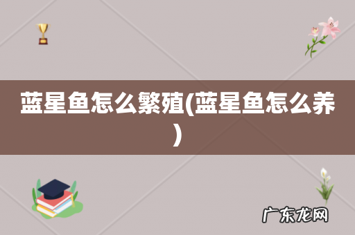 蓝星鱼怎么养 蓝星鱼怎么繁殖