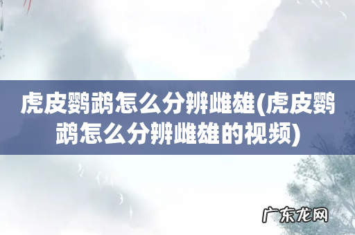 虎皮鹦鹉怎么分辨雌雄的视频 虎皮鹦鹉怎么分辨雌雄