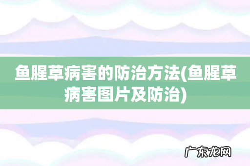 鱼腥草病害图片及防治 鱼腥草病害的防治方法