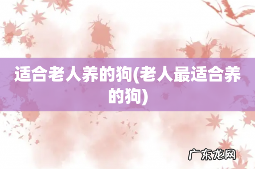 老人最适合养的狗 适合老人养的狗