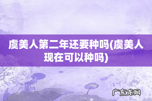 虞美人现在可以种吗 虞美人第二年还要种吗