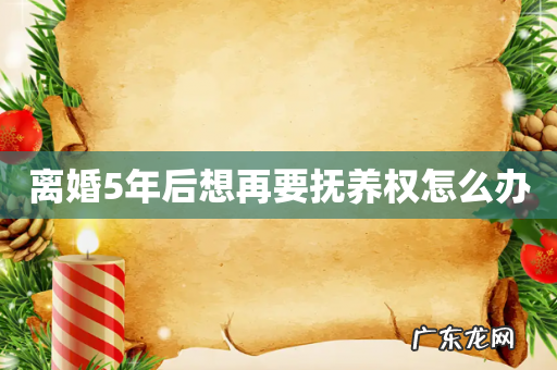 离婚5年后想再要抚养权怎么办