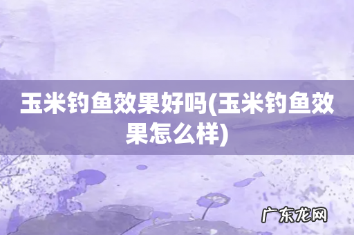玉米钓鱼效果怎么样 玉米钓鱼效果好吗