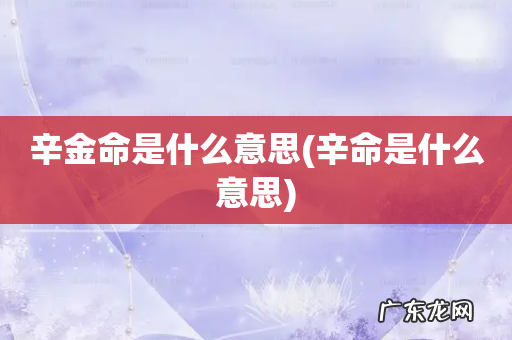 辛命是什么意思 辛金命是什么意思