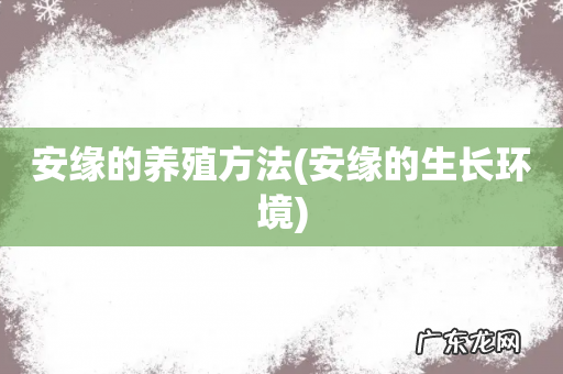 安缘的生长环境 安缘的养殖方法
