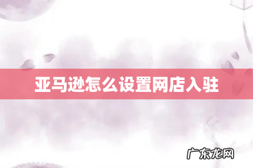 亚马逊怎么设置网店入驻