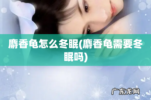 麝香龟需要冬眠吗 麝香龟怎么冬眠