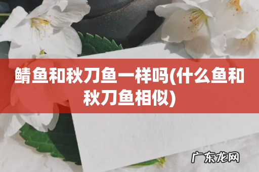 什么鱼和秋刀鱼相似 鲭鱼和秋刀鱼一样吗