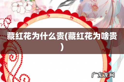 藏红花为啥贵 藏红花为什么贵