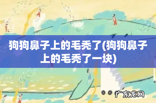 狗狗鼻子上的毛秃了一块 狗狗鼻子上的毛秃了