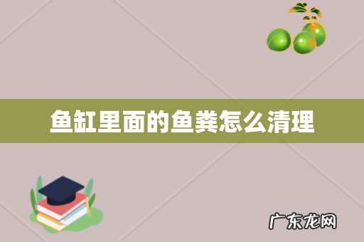 鱼缸里面的鱼粪怎么清理