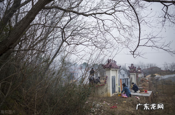 狐狸摆件的风水作用 有狐狸的地方风水好吗