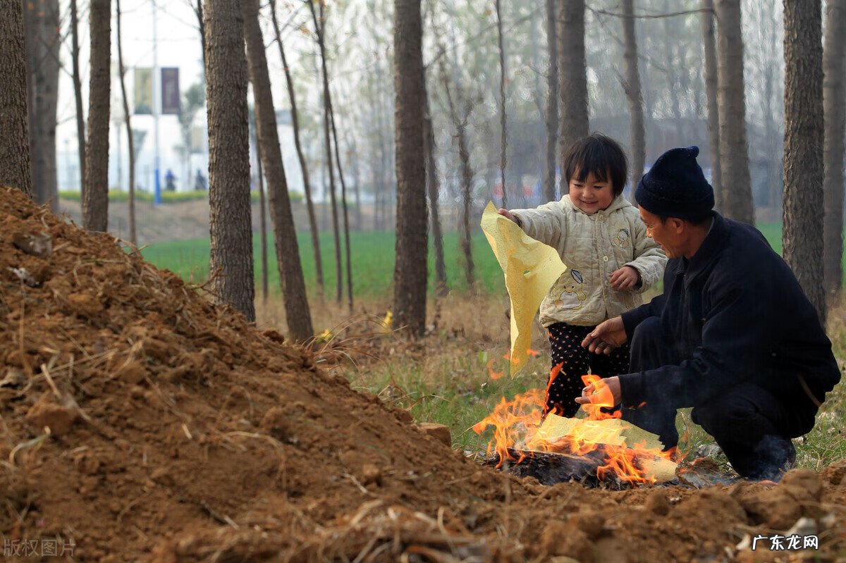 狐狸摆件的风水作用 有狐狸的地方风水好吗