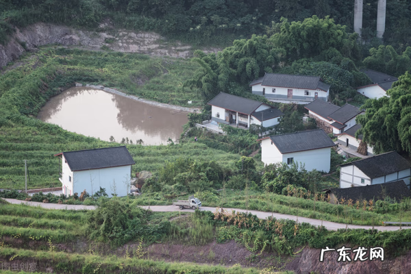 狐狸摆件的风水作用 有狐狸的地方风水好吗