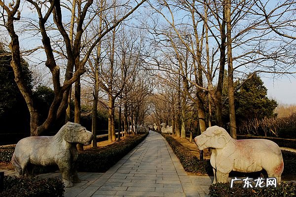 风水宝地案山要求 风水宝地远案和近案区别