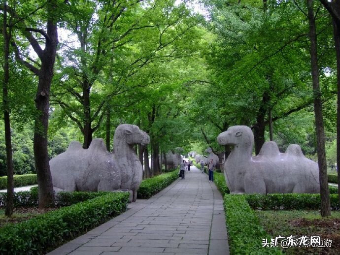 风水宝地案山要求 风水宝地远案和近案区别