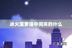 冰火菠萝油中间夹的什么