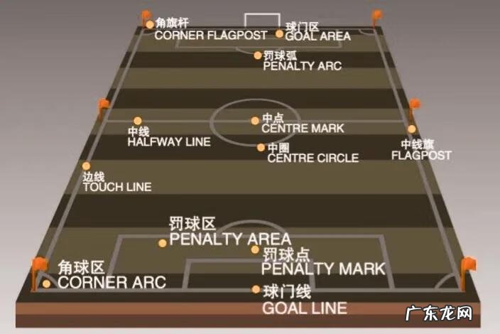 杯子的英文叫什么 各种杯子的英文