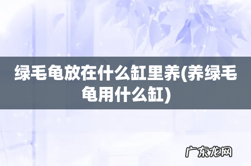 养绿毛龟用什么缸 绿毛龟放在什么缸里养