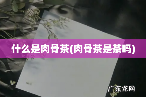 肉骨茶是茶吗 什么是肉骨茶