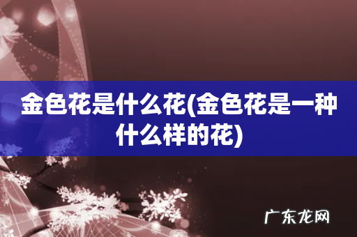 金色花是一种什么样的花 金色花是什么花