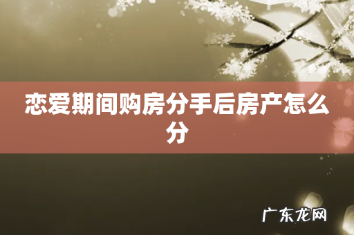 恋爱期间购房分手后房产怎么分