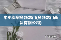 鱼跃龙门商贸有限公司 中小卖家鱼跃龙门