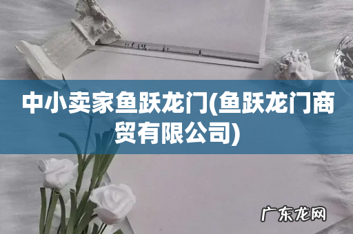 鱼跃龙门商贸有限公司 中小卖家鱼跃龙门