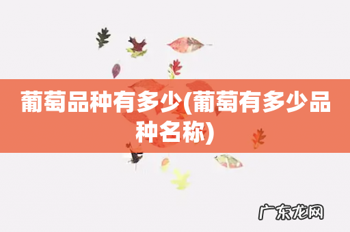 葡萄有多少品种名称 葡萄品种有多少