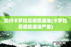 卡罗拉后避震漏油严重 如何卡罗拉后避震漏油