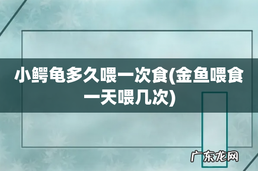 金鱼喂食一天喂几次 小鳄龟多久喂一次食