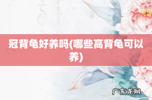 哪些高背龟可以养 冠背龟好养吗