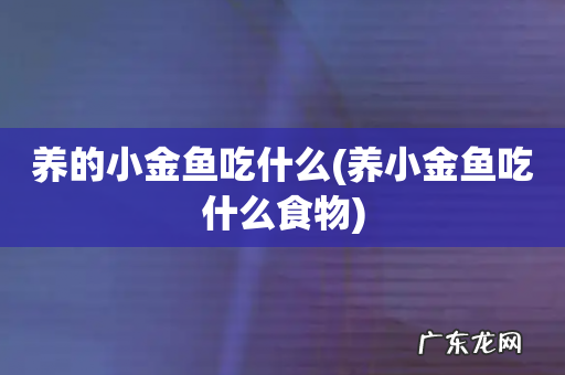 养小金鱼吃什么食物 养的小金鱼吃什么
