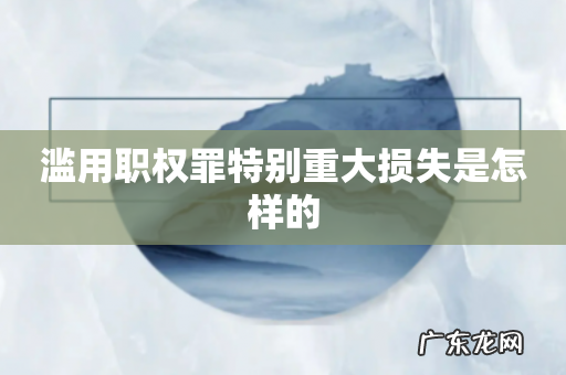 滥用职权罪特别重大损失是怎样的