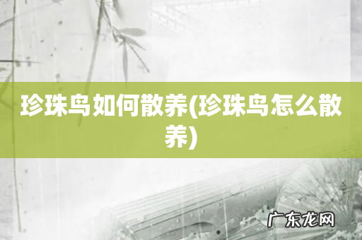 珍珠鸟怎么散养 珍珠鸟如何散养