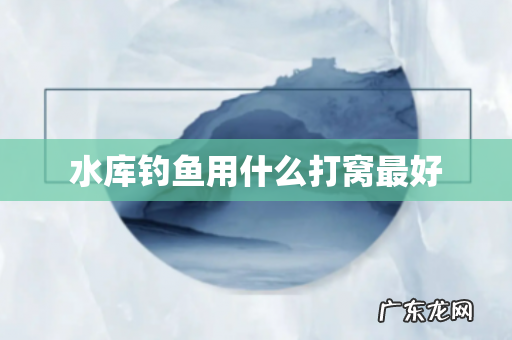 水库钓鱼用什么打窝最好