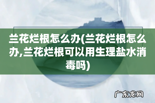 兰花烂根怎么办,兰花烂根可以用生理盐水消毒吗 兰花烂根怎么办